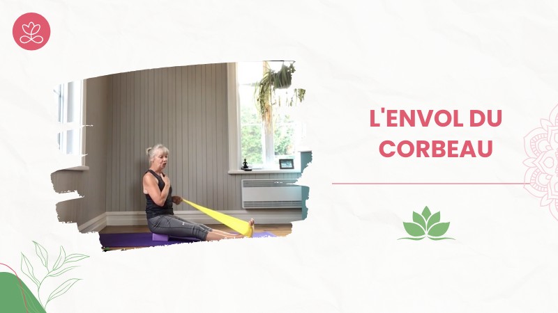 5.1 L'envol du corbeau